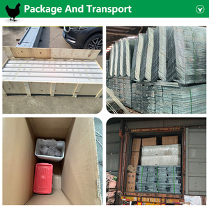 Nouvelle Boîte de Nidification <span class=keywords><strong>Automatique</strong></span> pour Poulets, Équipement d'Élevage Avicole, Cage à Batterie pour Poules Pondeuses en Acier Galvanisé Certifiée CE Type A - Product Image 6