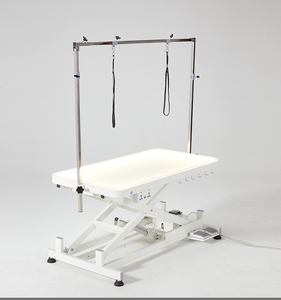 Stainless Steel Luxury Remote Control Light Table Socket Hook Design Electric Luminous Lifting Pet Grooming Table YM-D001LP - Product Image 5