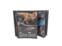 Vente chaude : Service d'impression de livrets pliables à couverture souple, personnalisés, pour l'apprentissage précoce des enfants, sur le thème des animaux, imperméables, en carton numérique