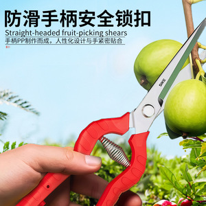 กรรไกรตัดแต่งกิ่งสแตนเลส กรรไกรเก็บผลไม้ กรรไกรตัดผักบอนไซ สีแดง/สีส้ม เครื่องมือทำสวน สำหรับสวนผลไม้กลางแจ้ง - Product Image 4