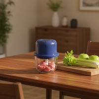 Hachoir à ail électrique, mini hachoir à légumes portable, broyeur à ail, hachoir à oignon, mixeur pour légumes, robot culinaire