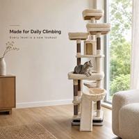 Arbre à chat d'intérieur multi-niveaux en peluche pour salon, chambre, appartement, avec poteaux à gratter