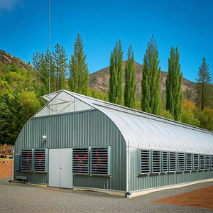 Serra Oscurante Personalizzata Multi-Campata per Funghi e Verdure - Product Image 1