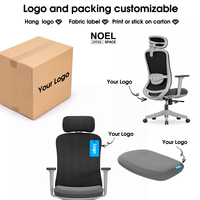 Chaise de bureau ergonomique NOEL à dossier haut, design moderne, avec support lombaire 2D, chaise de bureau en maille certifiée BIFMA