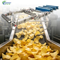 Shepody 100kg/u 200kg/u productielijn voor verse frites, op maat gemaakte productielijn voor de verwerking van frites