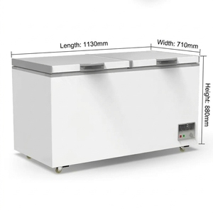 Congélateur de laboratoire à double porte blanc de 480 à 2300 litres, contrôle mécanique, refroidissement direct, commande électromécanique - Product Image 5