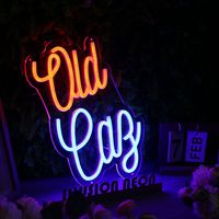 Enseigne néon LED en acrylique personnalisée avec personnages de dessins animés, affichage de logo personnalisé pour voitures et entreprises, utilisation en extérieur