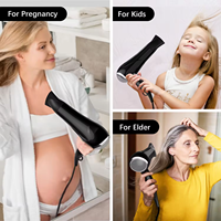 Vente chaude Portable Sèche-Cheveux Salon Professionnel Ion Négatif Sèche-Cheveux Haute Vitesse pour Ménage Hôtel Sèche-Cheveux