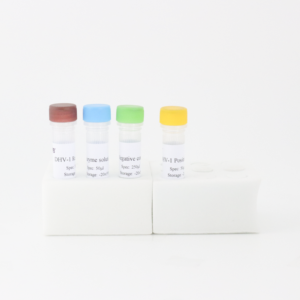 DHV-1 형광 RT-PCR 검출 키트 | 오리 간염 바이러스 유형 1 | 프로브 기반 qPCR - Product Image 3