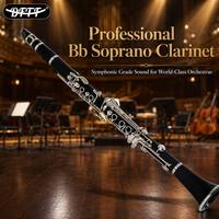 High Quality Silver Bb Clarinet B-Flat Woodwind Musical Instrument Wholesale Custom Logo for Student Beginner & Band