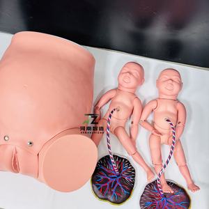 Livraison avancée Mécanisme D'<span class=keywords><strong>enseignement</strong></span> L'accouchement Modèle de <span class=keywords><strong>Formation</strong></span> - Product Image 2