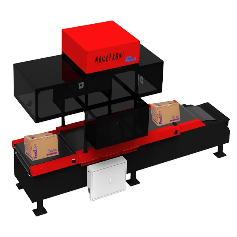 Factory Customized E-commerce Warehouse Logistics Intelligent Sorting and Conveying System DWS Conveying and Sorting Solution