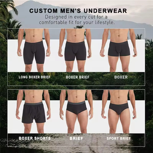 Di alta qualità OEM <span class=keywords><strong>uomo</strong></span> biancheria intima produttore su misura di cotone bambù <span class=keywords><strong>Boxer</strong></span> Logo personalizzato <span class=keywords><strong>uomo</strong></span> <span class=keywords><strong>Boxer</strong></span> breve per gli uomini - Product Image 6