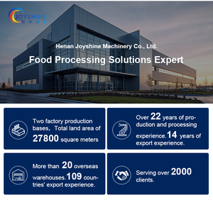 Joyshine, máquina de forma de hamburguesa de carne de pescado con control de frecuencia industrial personalizado - Product Image 3