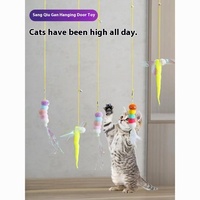 2025 Neuankömmling Release Pet Animal Interactive Tür hängen Katzen spielzeug