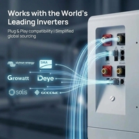 Batterie LiFePO4 15-16 kWh à sortie d'usine, 51,2 V 314 Ah, 10 000 cycles, cellules de qualité A, stockage d'énergie domestique pour systèmes solaires 6-20 kW