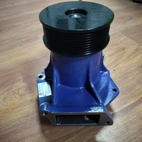 5279976 W010517994 Wasserpumpe 612640060102 4110003187001 für SEM SEM656D SEM655D Radlader Wasserpumpenteile