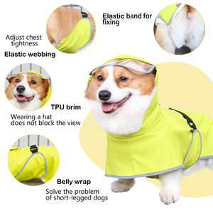 Imperméable écologique personnalisé avec logo <span class=keywords><strong>pour</strong></span> chiens teckel, <span class=keywords><strong>whippet</strong></span>, lévrier - Vêtements d'extérieur <span class=keywords><strong>pour</strong></span> animaux <span class=keywords><strong>de</strong></span> compagnie - Product Image 5