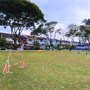 Equipo de entrenamiento de agilidad de perro de aluminio Premium Salto de perro ajustable en altura - Product Image 4