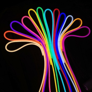 Tira de Luz LED de Neón Flexible de Silicona RGB de 220 V, IP65, Impermeable, Iluminación para Paisajes - Product Image 3