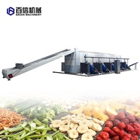 Séchoir industriel à fruits et aliments à bande transporteuse pour cardamome, tomates et dattes rouges – Vente directe usine