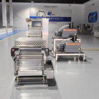 Máquina de Envasado al Vacío por Termoformado de Acero Inoxidable Duradero para Carne de Aves Salada, Empacadora Automática