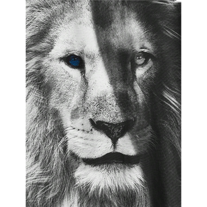 Горячая распродажа, белая футболка оверсайз с рисунком, Полная Сублимационная Футболка с принтом животных, Льва, футболка и шорты - Product Image 3