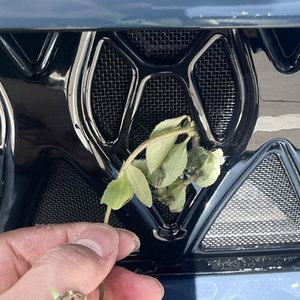 Accesorios exteriores <span class=keywords><strong>de</strong></span> fibra <span class=keywords><strong>de</strong></span> carbono ABS para coche OEM para 2025 IM LS6 rejilla delantera mosquitera - Product Image 6