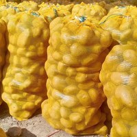 Sacs de légumes en maille personnalisés Sacs en maille d'oignon rouge réutilisables et respirants pour l'emballage de légumes Fruits Maïs Poivre Carotte Orange
