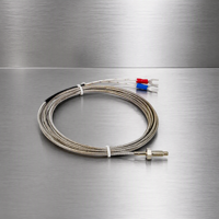 Sonde de température de type K et de type E M6 M8 avec contrôleur numérique et câble d'extension pour machines plastiques