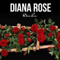 Guirlande de fleurs artificielles, fausses roses rouges, lianes, décoration florale suspendue pour l'extérieur, pour arche de mariage, décoration murale de fond pour la maison
