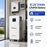 Batterie LiFePO4 51,2 V 314 Ah 16076,8 Wh avec BMS intelligent, batterie lithium verticale pour système de stockage d'énergie solaire domestique
