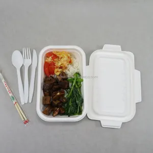 गन्ना खोई आयत दोपहर के भोजन के ट्रे Biodegradable खाद्य पैकेजिंग