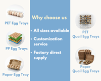 Plateau à œufs en pulpe moulée écologique à 6 alvéoles pour œufs de poule, emballage sûr, logo personnalisé, vente en gros