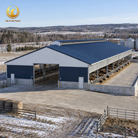 Abri pour moutons, bâtiment d'élevage, abri pour bétail, bâtiment ventilé pour animaux, structure en acier, hangar agricole