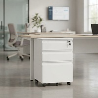 Armoire de rangement métallique multifonctionnelle à 3 tiroirs avec serrure à clé, grande capacité, déplacement facile, pour bureaux