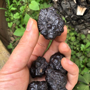 Piedra Natural de Cristal Mineral de Alta Calidad, Diamante Negro Profético para Fengshui - Product Image 1