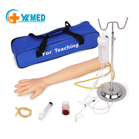 Kit de Entrenamiento de Venopunción Anatómica para Enfermeras, Modelo de Plástico PVC YULIN YLJ-410 Henan CE/ISO