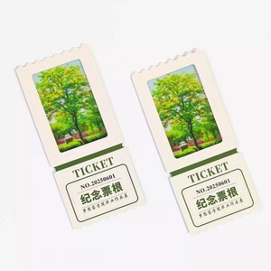 Billet de cinéma personnalisé, billet imprimé recto-verso, cartes postales décoratives, cartes cadeaux pour événements, billet VIP de cinéma photographique - Product Image 6