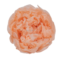 Bunga abadi abadi selamanya mawar peony kotak bunga yang diawetkan-Dapat dikustomisasi untuk Hari Ibu Hari Valentine pernikahan Thanksgiving