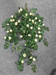 Vigne de roses artificielle And De Roses Arizona Wild Seven Pergolas Thornless Desert Eden Creeping That Training Decoration - Product Image 4