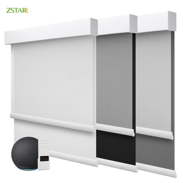 ZSTARR Automatic Day and Night Blackout Blinds Dual Layers Rechargeable Motorized Roller Blinds for Hotel Home Office