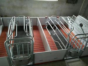 Caisses de mise bas et systèmes de plancher de pépinière Cages pour animaux avec plancher à lamelles pour la finition - Product Image 4