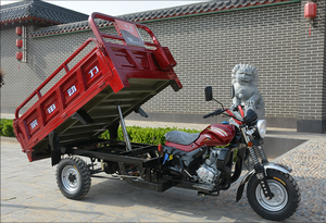 New Style Tricycle Passenger and Motorcycle <b>Gasoline</b> Three Wheels - Product Image 4