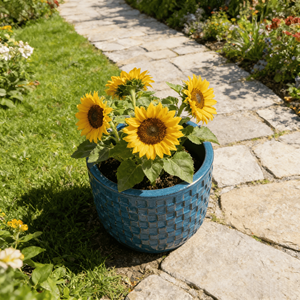 Pot de fleurs en céramique de style américain, bleu turquoise, à motif elliptique - Écologique, durable, décoratif pour le jardin, avec trou de drainage - Product Image 2