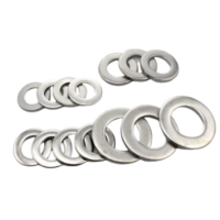 Manufacturers Stainless Steel Spring Forged Flat Steel Washers Washer