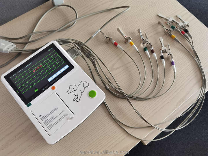 EUR PET Good Quality Veterinary Animal Ekg Machine 6 Channel 12 Lead ...