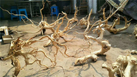 Bois flotté pour aquarium, tailles assorties, bois décoratif pour aquascape, terrarium et décoration intérieure