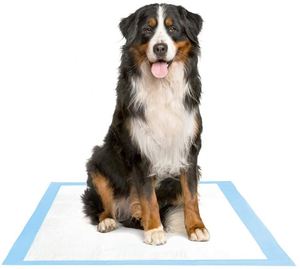 Tapis absorbants jetables pour animaux de compagnie, tapis pour chiots, tapis pour chiens, SAP durable de Chine ou SAP du Japon, services ODM OEM personnalisés - Product Image 4