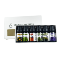 Lot de 6 Huiles Essentielles Pures en Promotion – Coffret Cadeau d'Aromathérapie Parfum Lavande – Liquide Écologique pour Diffuseur Domestique et Fabrication de Bougies